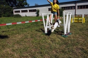 IMG_20190629_162913_1
