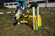 IMG_20190629_163023